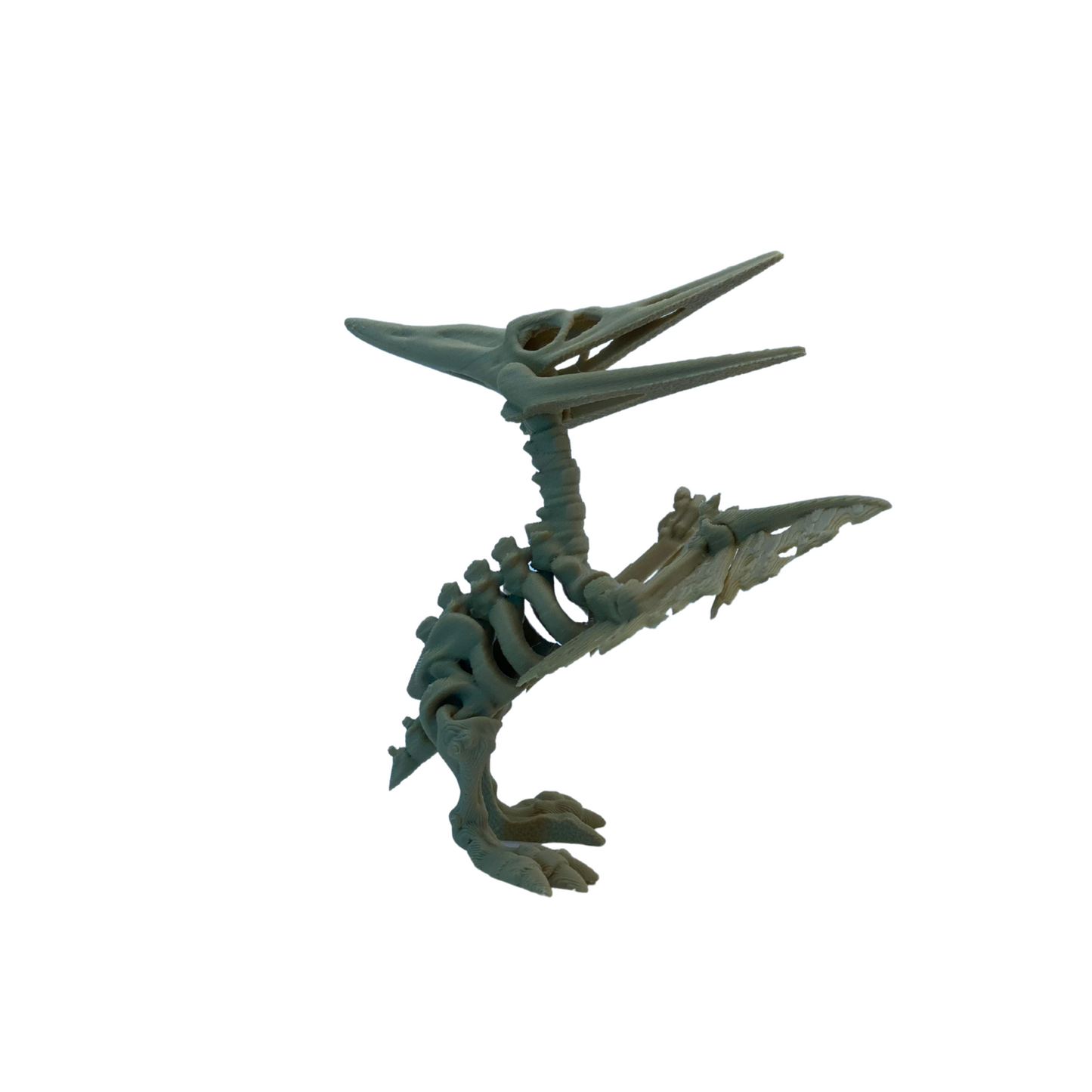3D Printed Articulated Pteranodon Skeleton β 3" Tall β Random Color