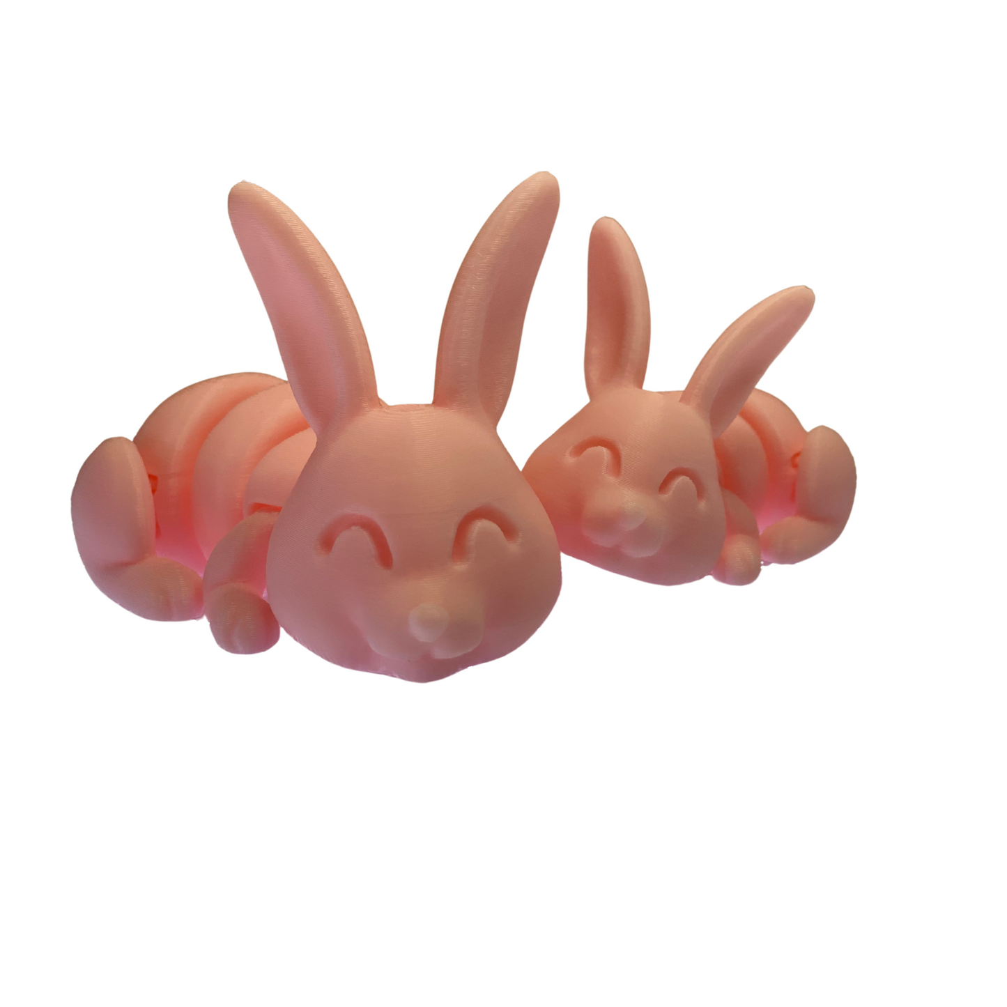 π° Mini 3D Printed Bunny Set β 2 Bunnies (One Big, One Small) β Random Colors