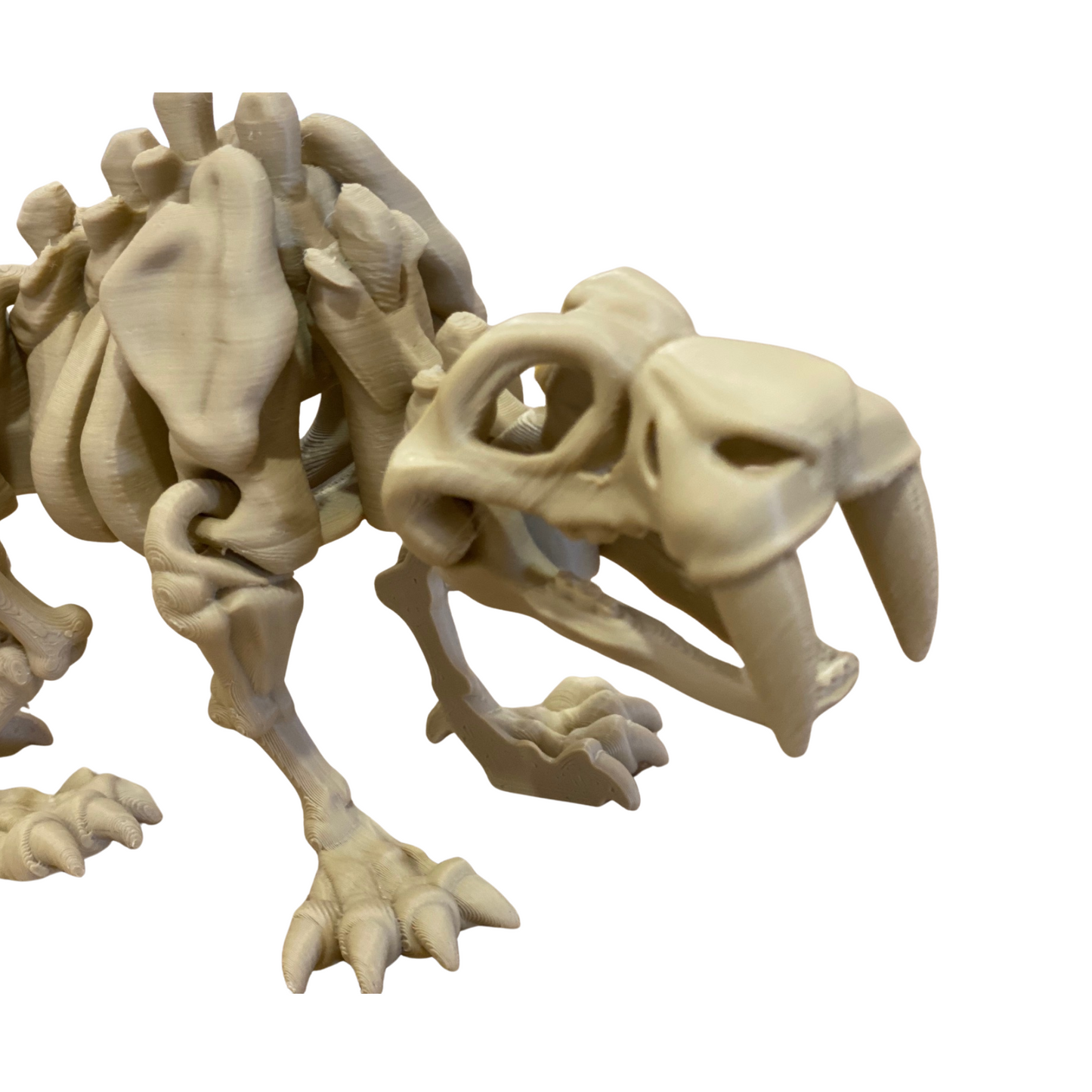 3D Printed Articulated Dinosaur Skeleton – Flexible Poseable Fossil Toy – Handmade PLA Dino Model – 6"
