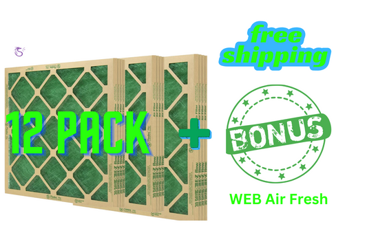 Flanders Ultimate Air Pack: 12 Merv 1 Filters + FREE Web Freshener Bonus