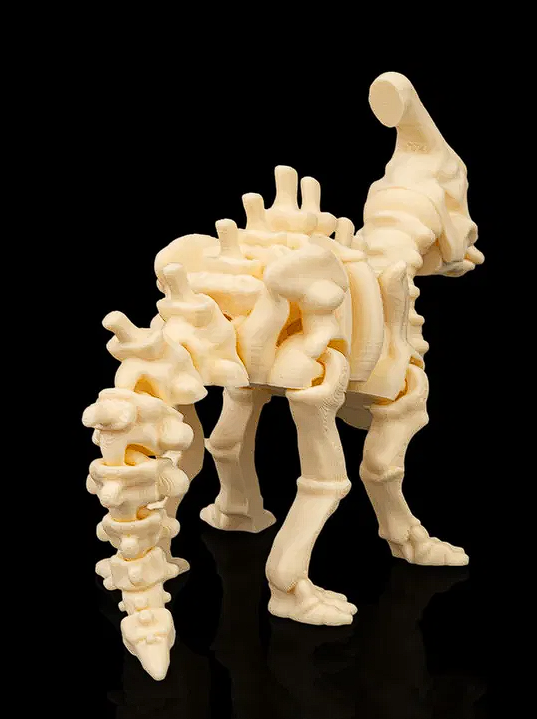 🦴 3D Printed Fossil Art: Detailed Parasaurolophus Skeleton Figure 🦖