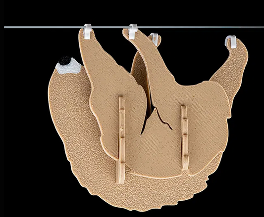 Sloth Kit Card Model 3D | Collectible Desktop Decor | Easy Assembly PLA Puzzle Gift