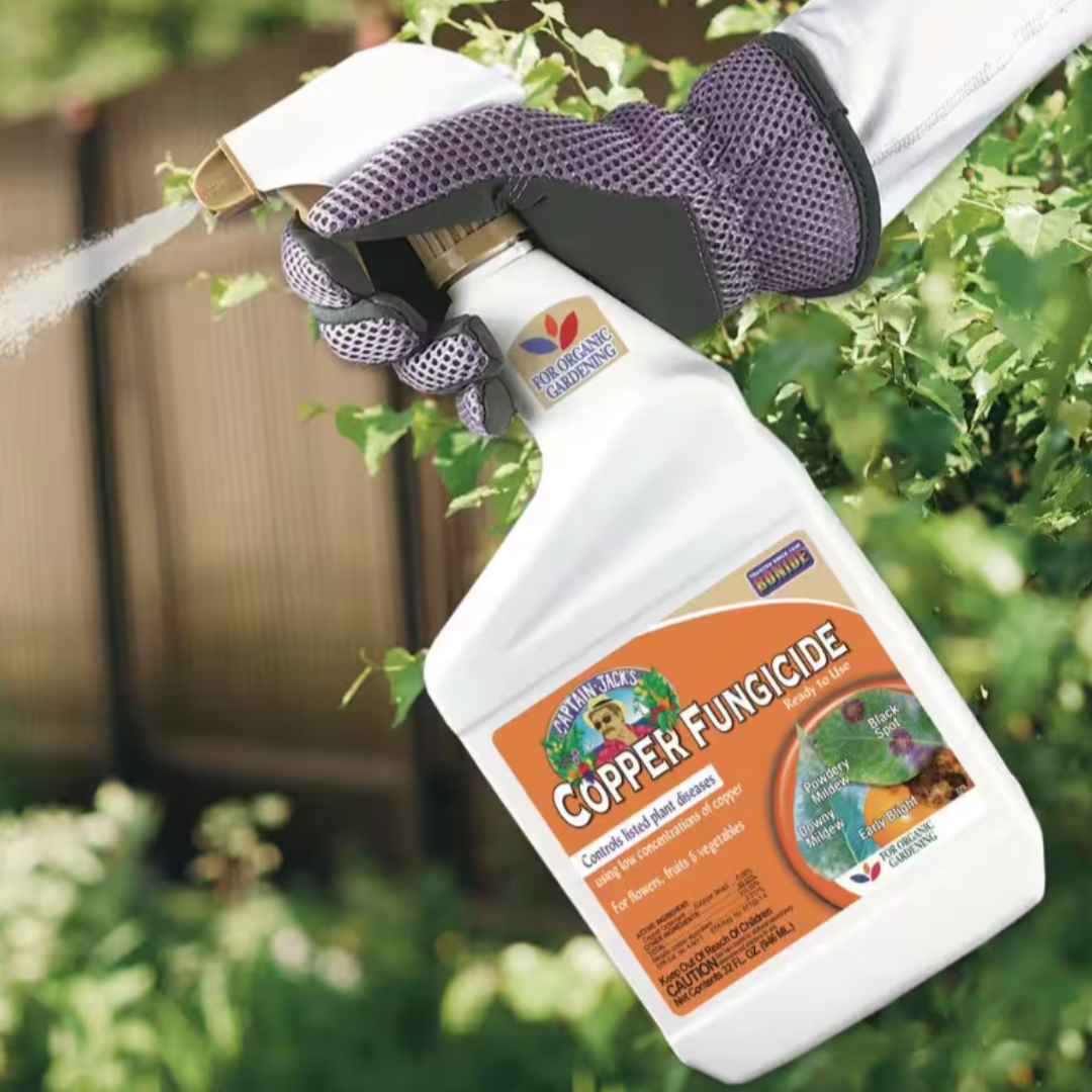 Captain Jack's Organic Shield Copper Fungicide,32 oz. Ready-to-Use Spray for Organic Gardening, Controls Common Diseases